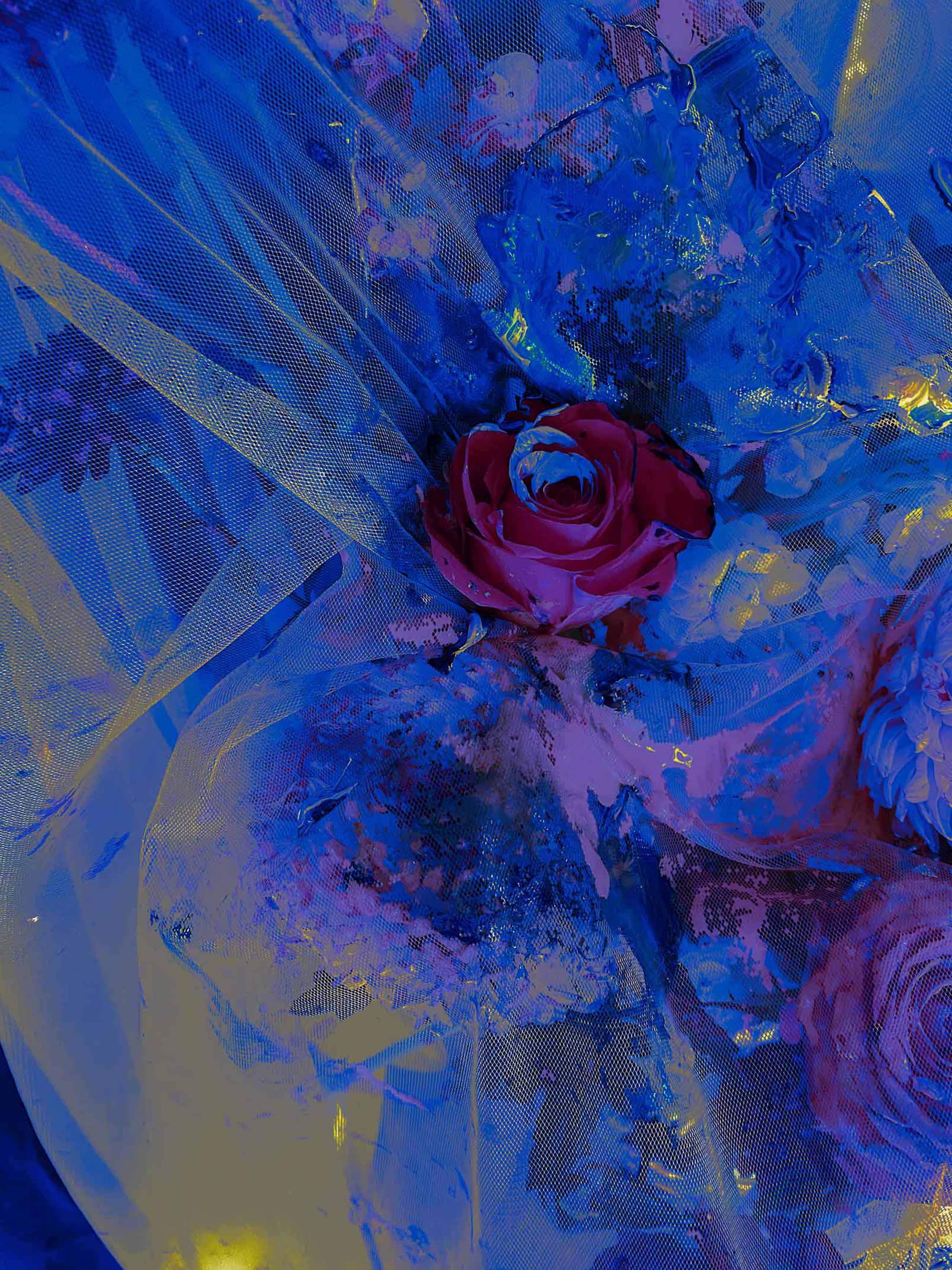 A Rose Within The Dying Star