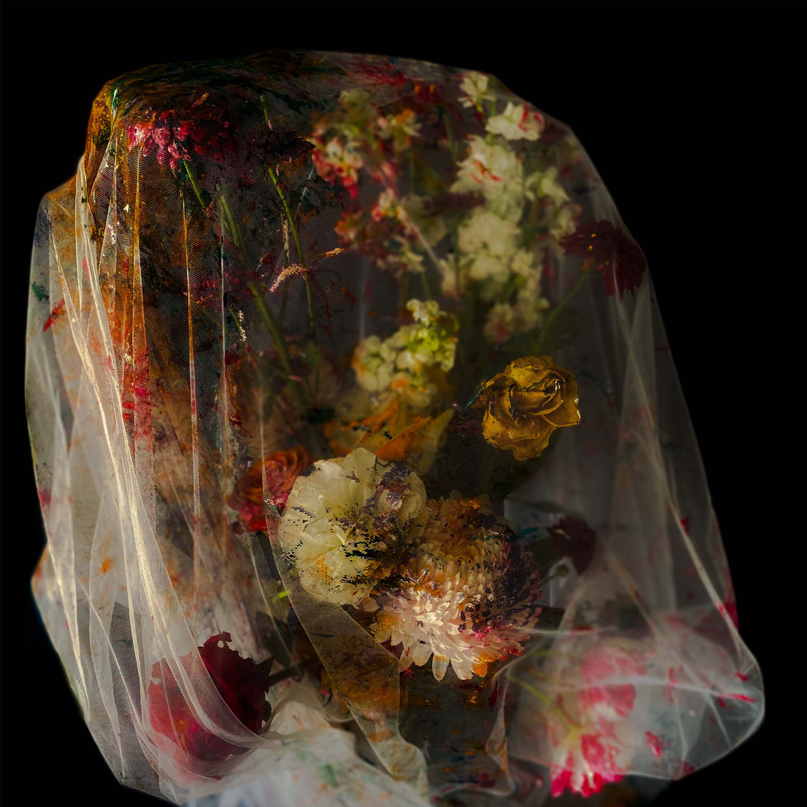 Beauty in Portaiture