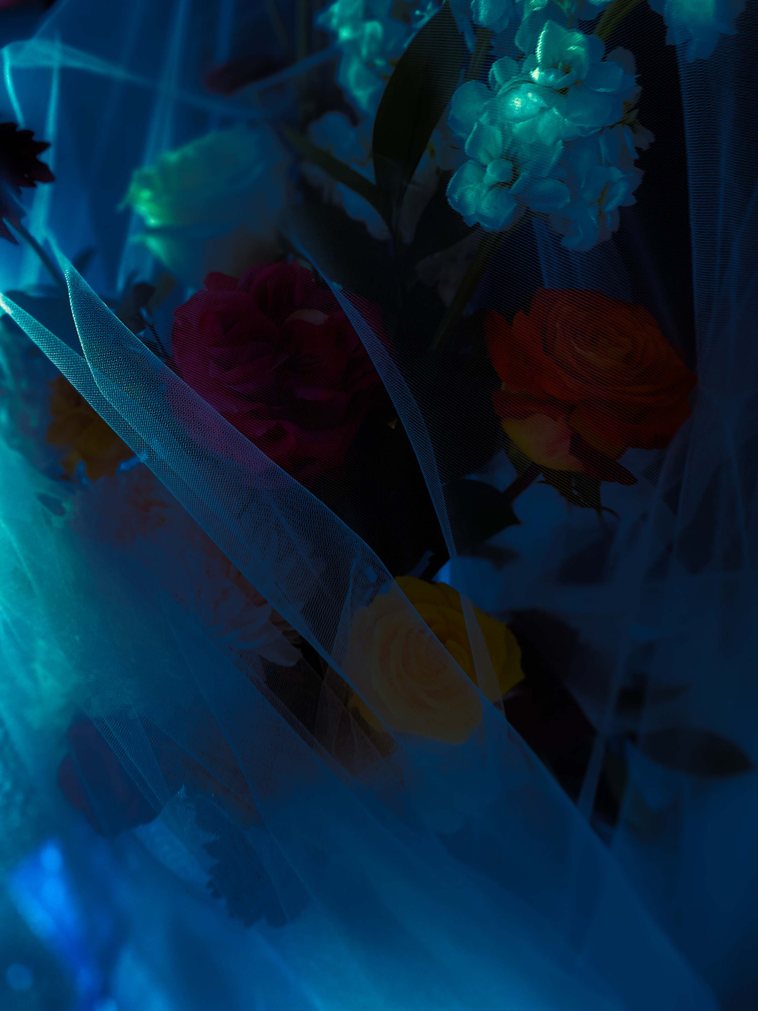 The Lure of Light