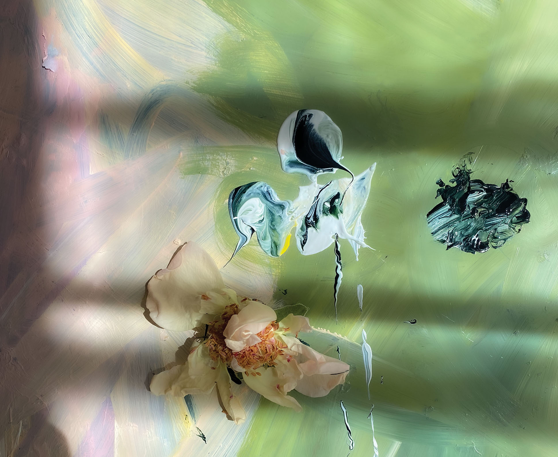 Dissolution, Too Early