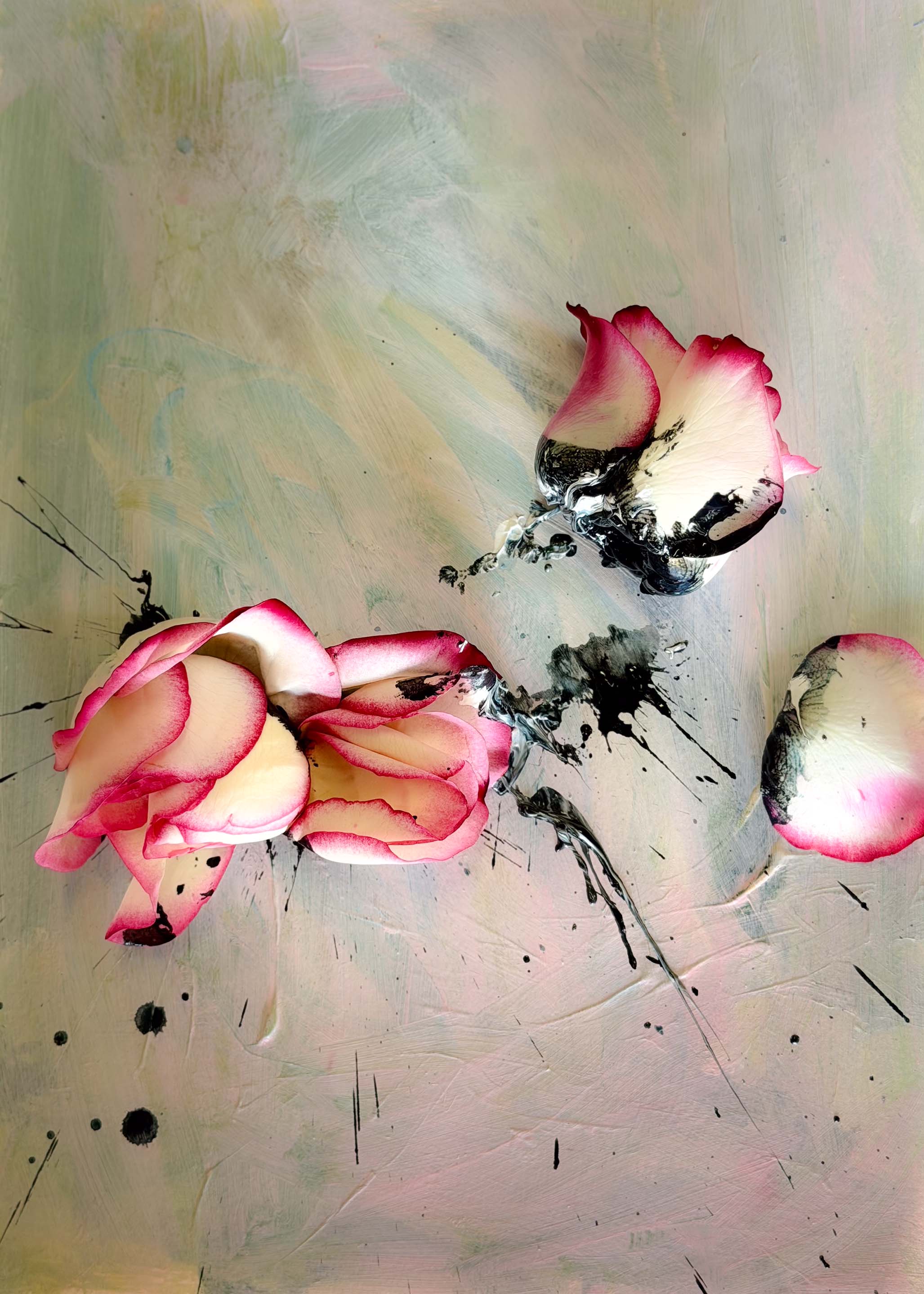 A Grand And Tender Attempt