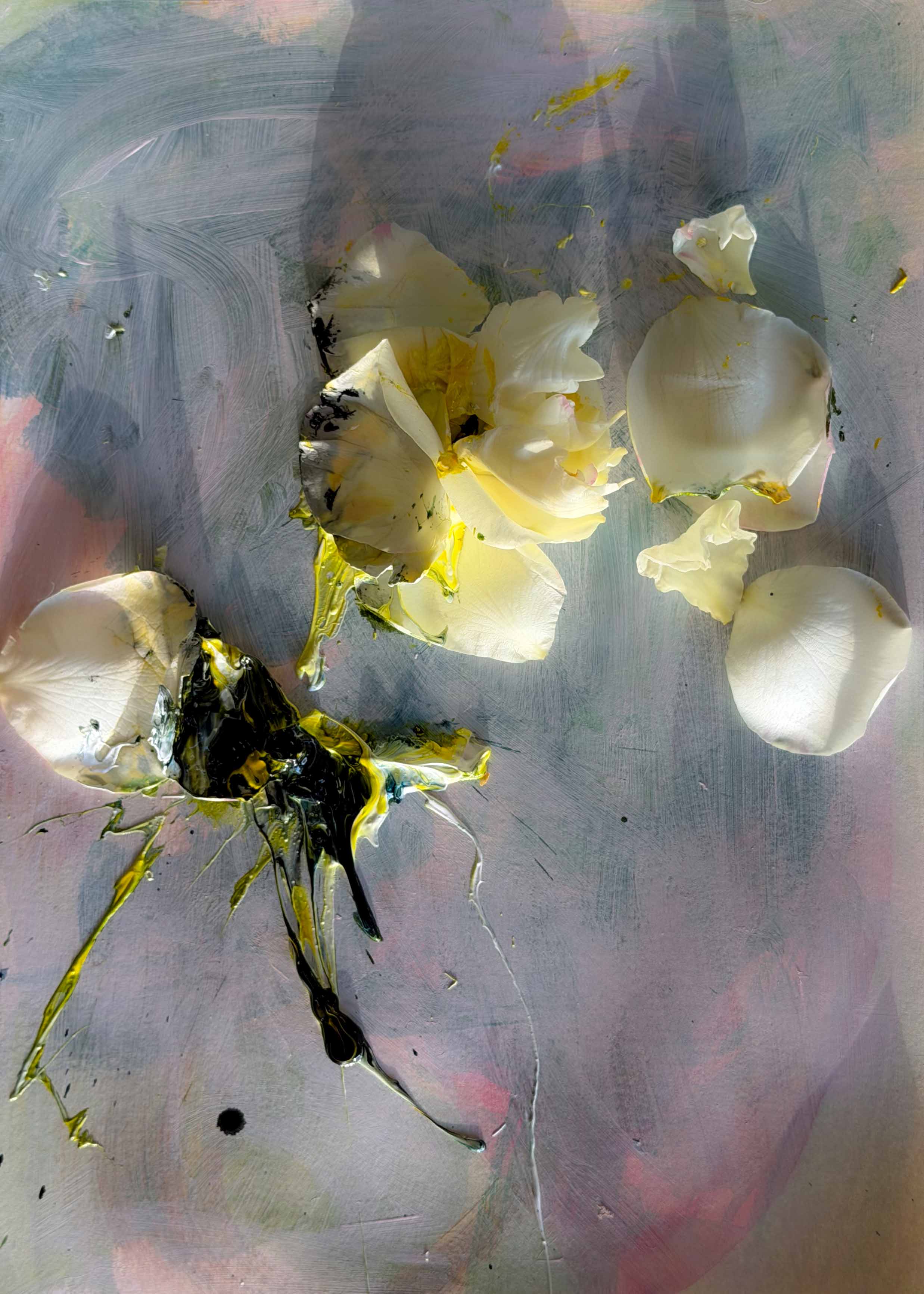 No Strangers Remembered Her