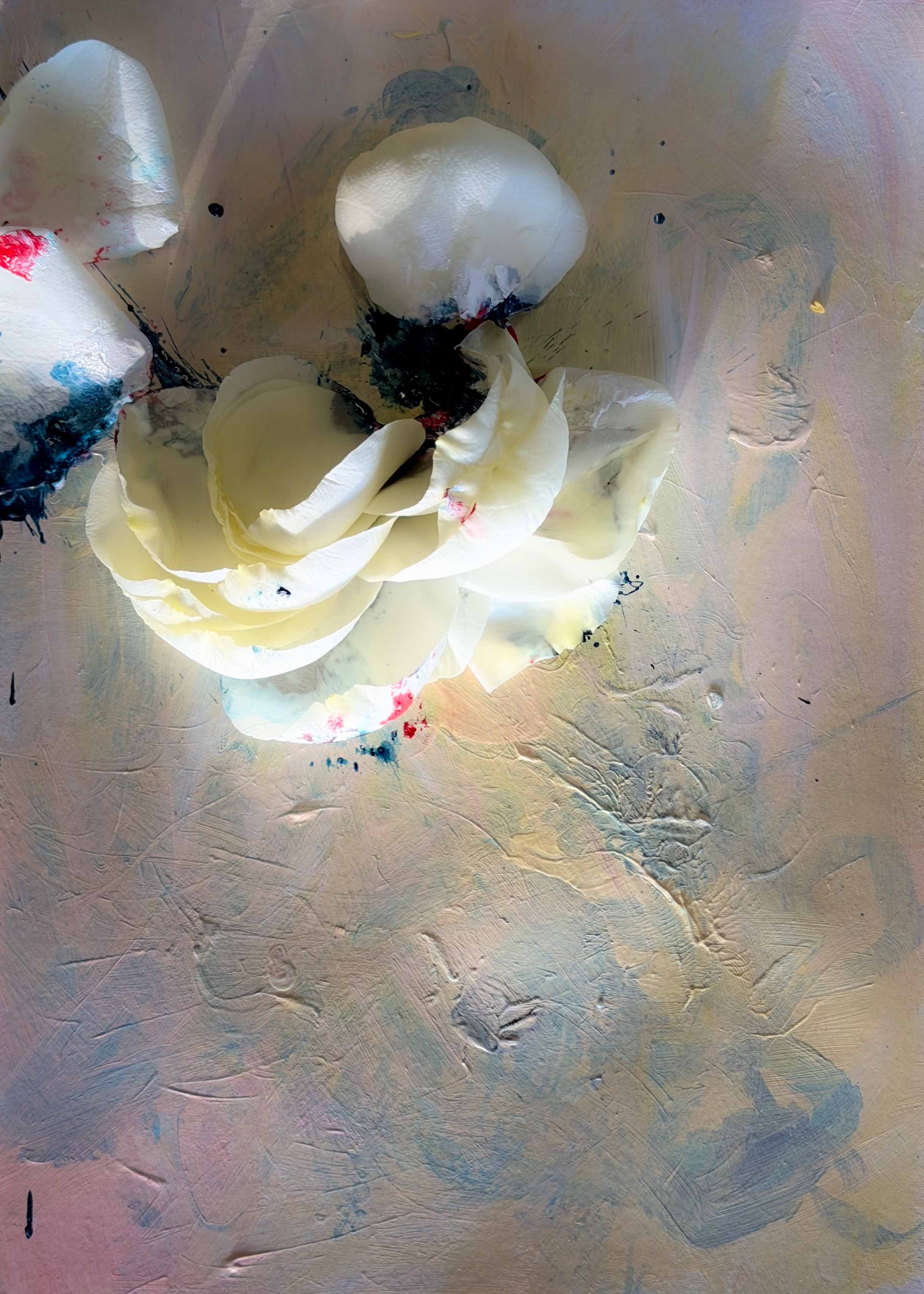 Soft Archive of a Lingered Feeling