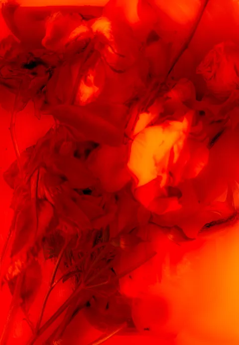 Red Velvet Debt