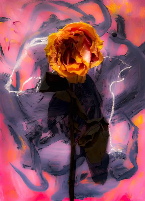 Metamorphic