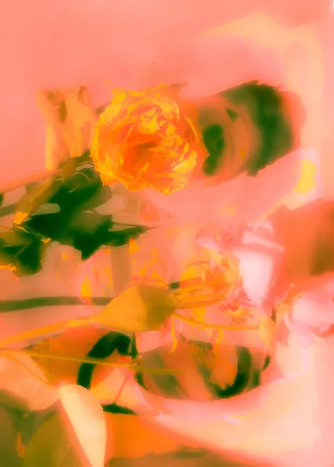 Anamnesis