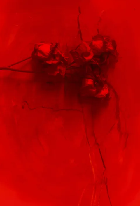 Merciless Red