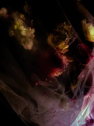 Beneath The Blackened Sky